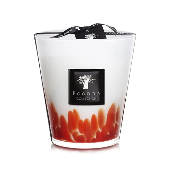 Discount Marie Dumas Baobab Collection Feathers Maasai Medium Candle