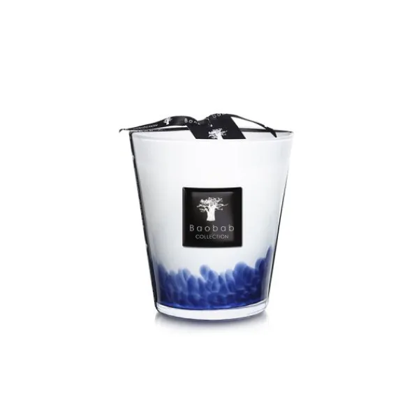 New Marie Dumas Baobab Collection Feathers Touareg Medium Candle