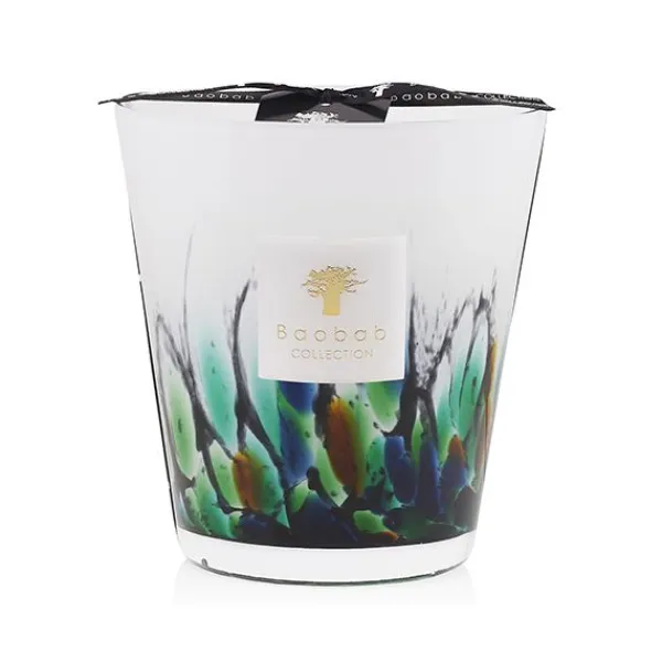 Discount Marie Dumas Baobab Collection Rainforest Amazonia Medium Candle