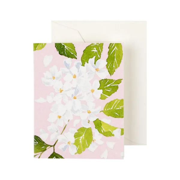 Outlet Marie Dumas Blossom Enclosure Cards