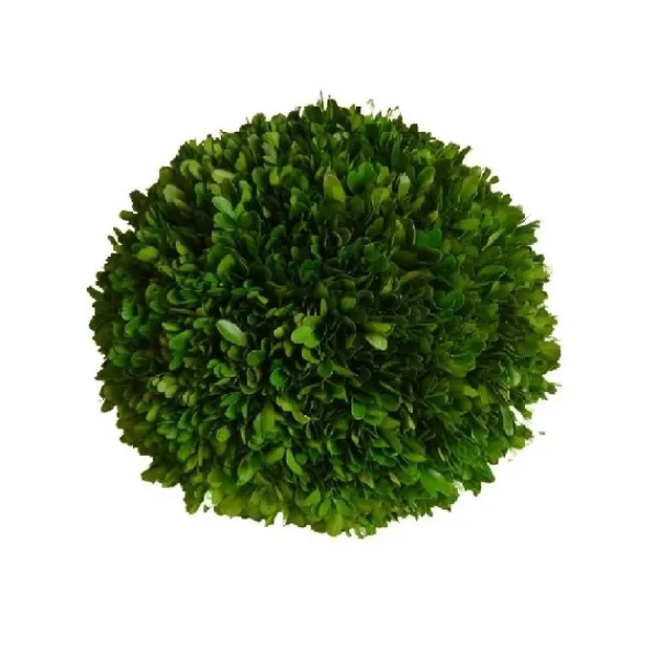 Cheap Marie Dumas Boxwood Ball - 8''