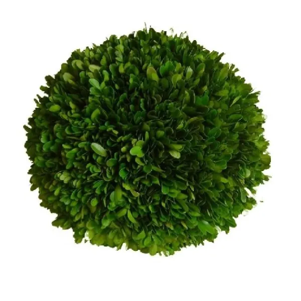 New Marie Dumas Boxwood Ball - 10"