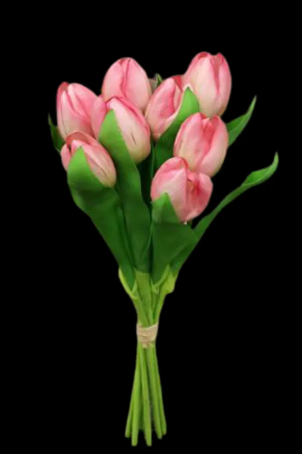 Discount Marie Dumas Bundle of 8 Pink Tulips