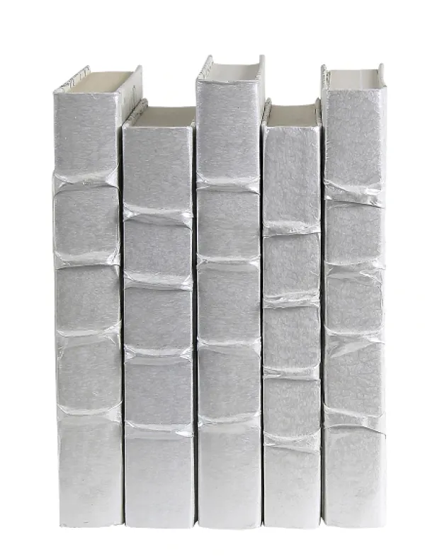 Store Marie Dumas Decorative Silver Book