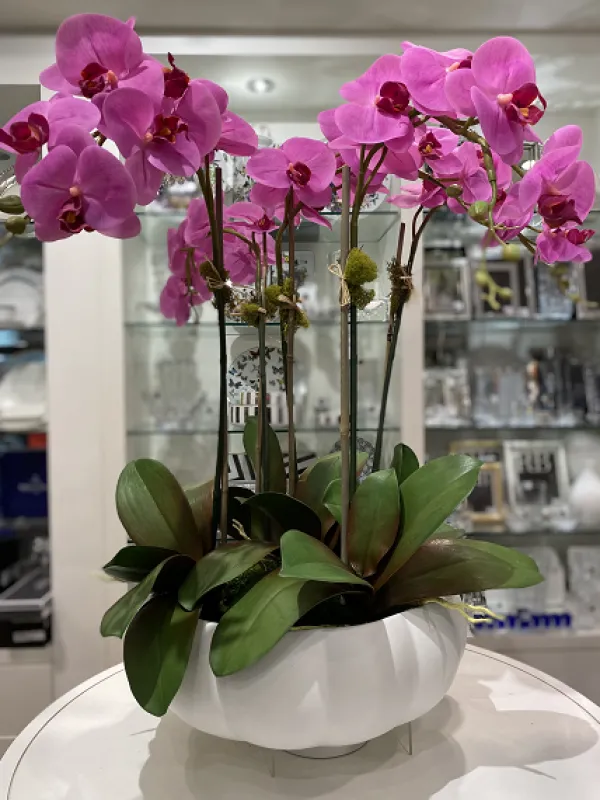 Clearance Marie Dumas Five Stem Fuschia Orchid Arrangement