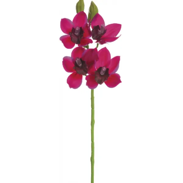 New Marie Dumas Fuchsia Orchid Spray