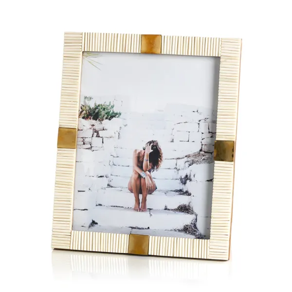 Hot Marie Dumas Micha Bone & Brass 8x10 Frame