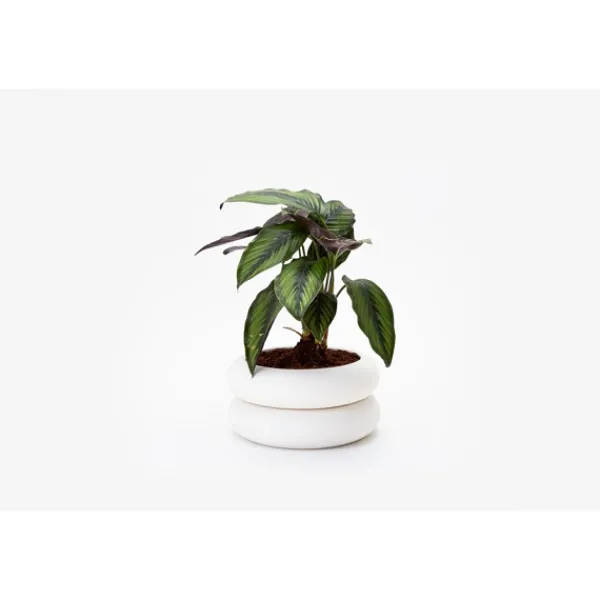 Clearance Marie Dumas Short White Stacking Planter