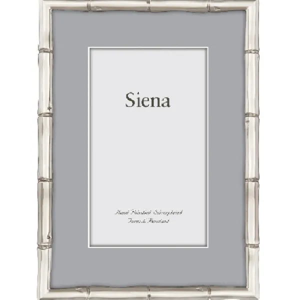 New Marie Dumas Siena Bamboo Silver 5x7 Frame